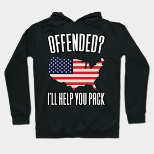 Conservative US Flag Politics Hoodie